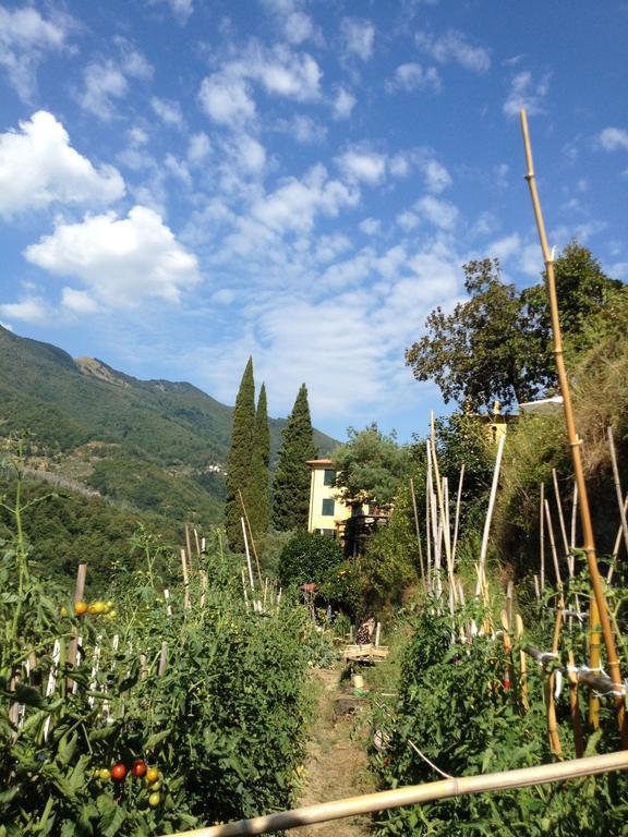 Casa Del Bosco Villa Borzonasca Luaran gambar